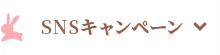 SNSキャンペーン