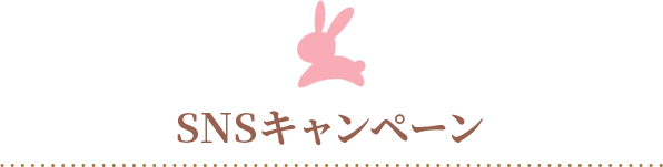SNSキャンペーン